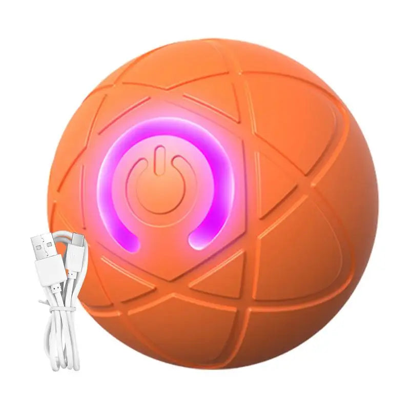 Interactive Pet Toy